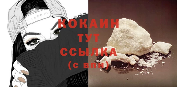 прущие грибы Горнозаводск