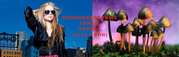 прущая мука Горняк