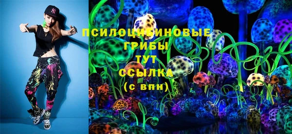 прущие грибы Горнозаводск