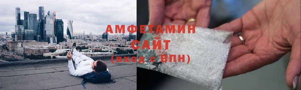 прущие грибы Горнозаводск