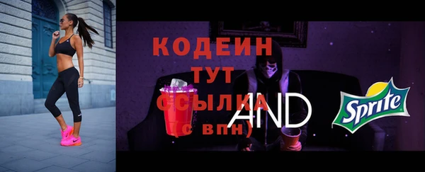 МДПВ Горно-Алтайск