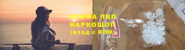 прущие грибы Горнозаводск