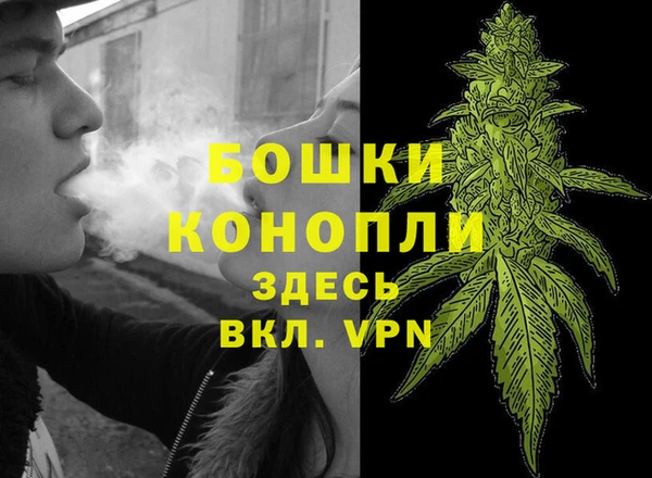 прущие грибы Горнозаводск