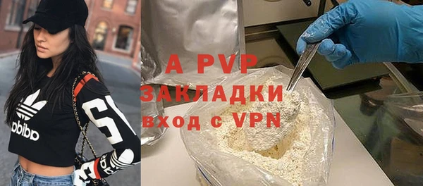 прущие грибы Горнозаводск