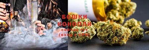 прущие грибы Горнозаводск