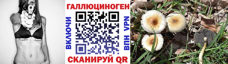 Галлюциногенные грибы Psilocybine cubensis  Александровское 